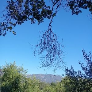 Meet your Posher, Beaner